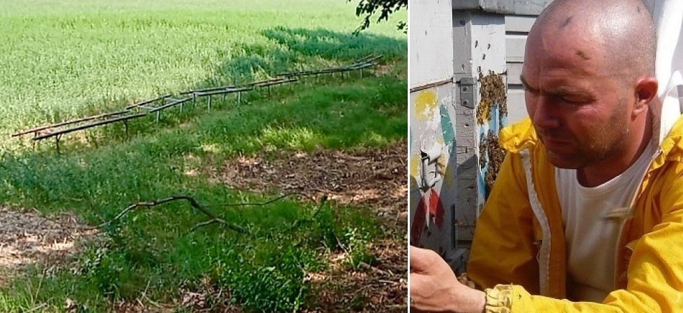 Rubate 36 arnie alla Mieli Thun fondata da Andrea Paternoster: Perso un anno di lavoro: delusi, amareggiati e increduli''